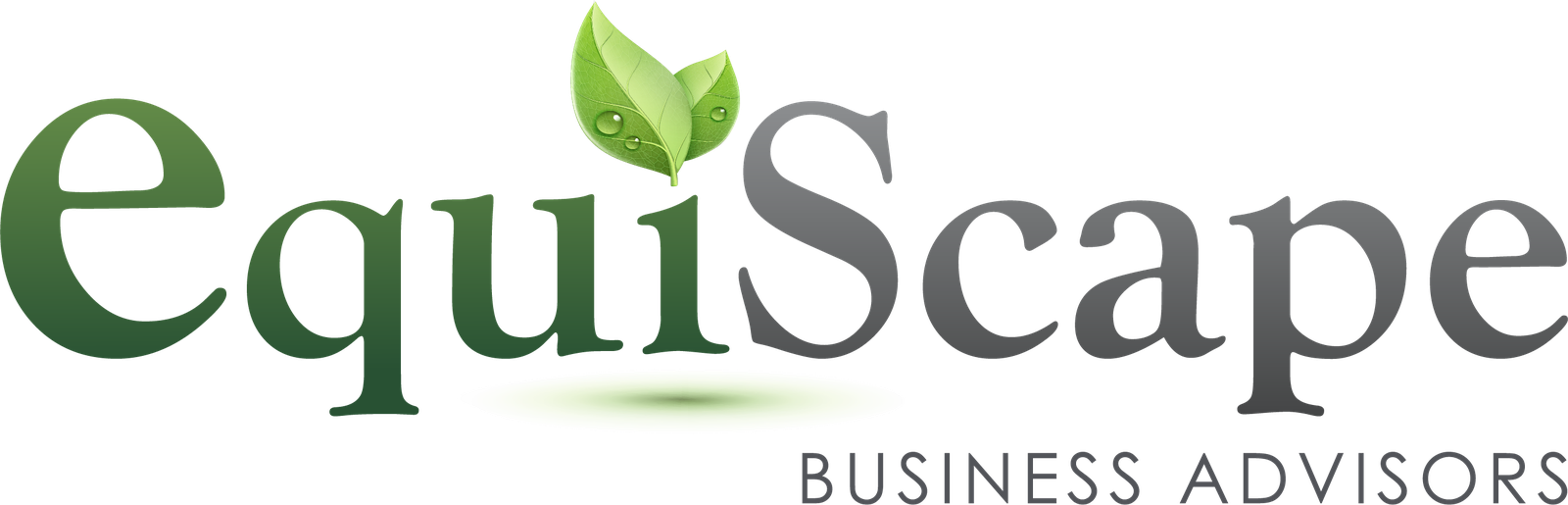EquiScape Business Advisors